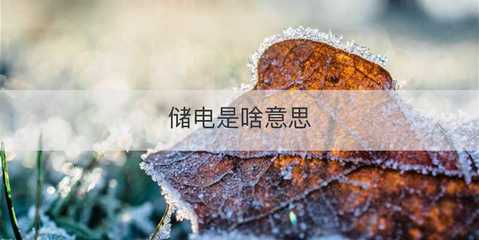 儲電與電瓶電力恢復(fù)儀 原理、作用與應(yīng)用