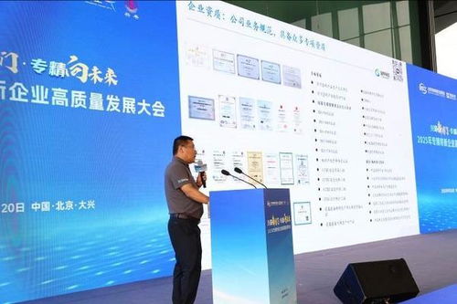 興聚新國(guó)門(mén)，專精向未來(lái) 2025專精特新企業(yè)高質(zhì)量發(fā)展大會(huì)在京舉行，聚焦信息技術(shù)咨詢服務(wù)新動(dòng)能